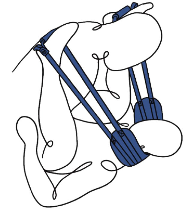 Illustration shows two people having sex while using the Sportsheets Pivot Deluxe Doggie Strap to keep the receiving partner's legs easily in the air. | Kinkly Shop