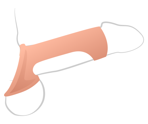 Illustrated penis. Shown on type of the shaft is the Stealth Shaft Support which is holding up the penis in an erect shape. The head of the penis is available to sensation, and a giant opening underneath the Stealth Shaft Support means the bottom of the shaft is available for sensation as well. The testicles sit outside of the toy after being fed through the testicle hole at the base. | Kinkly Shop