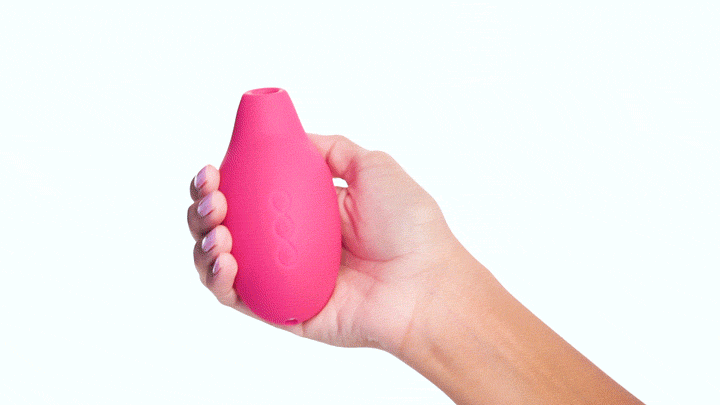 GIF showcases a person holding the LELO SONA. They then plug the charging cable for the vibrator into the butt-end of the vibrator, showcasing the USB opposite end of that cable. | Kinkly Shop