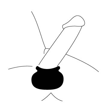 Illustration of an erect penis wearing the Bull Bag. The scrotum is entirely unseen in the image because both of the testicles are within the Perfect Fit Bull Bag | Kinkly Shop