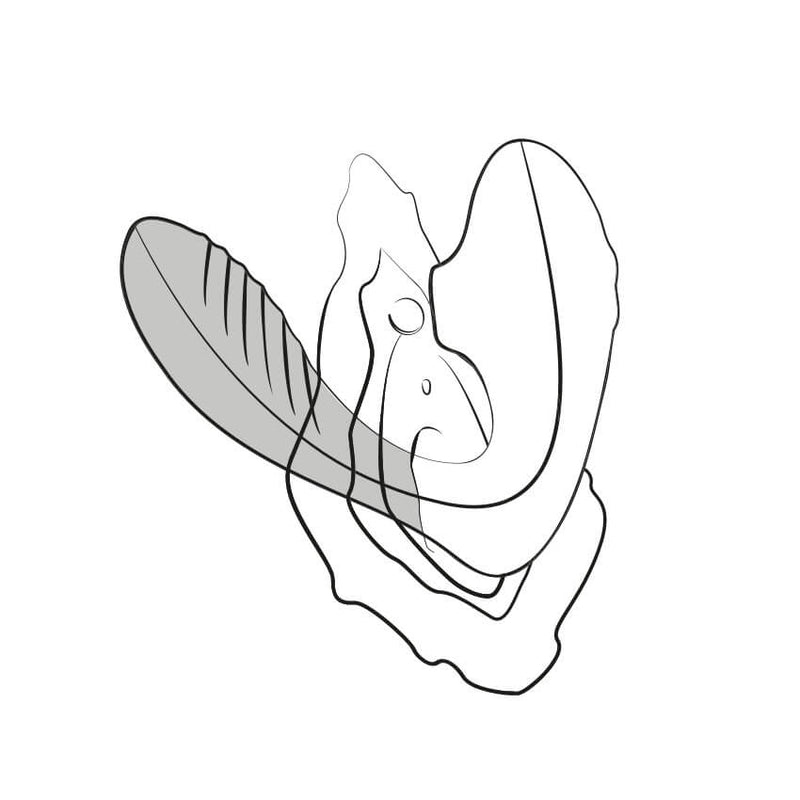 An illustration shows an illustrated ROMP Reverb slid inside of a vagina. The air suction tip is targeting the clitoris of the illustrated vulva at the same time. The internal g-spot end is shaded in darker to demonstrate that it is slid inside of a body. | Kinkly Shop