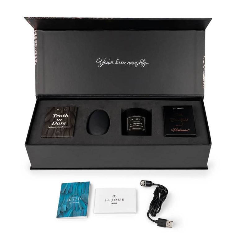 The Je Joue Naughty Collection box opened up with the main items still shown inside of the box. Sitting outside of the box is the vibe's charging cable as well as instruction manuals. | Kinkly Shop