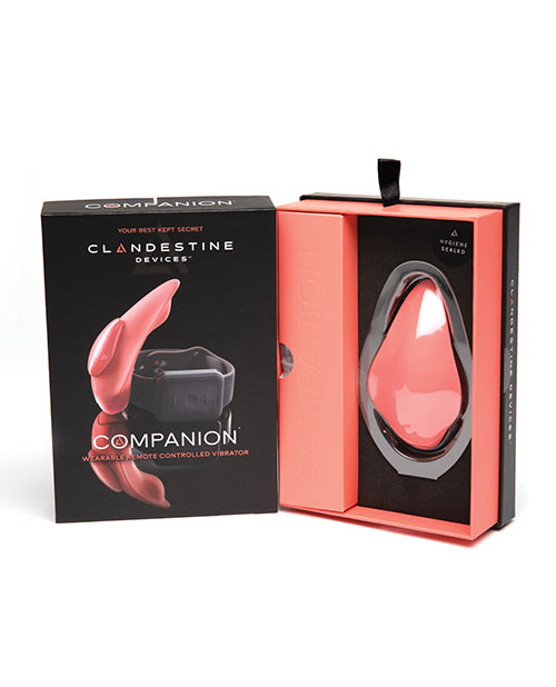 Packaging of the Clandestine Companion | Kinkly Shop