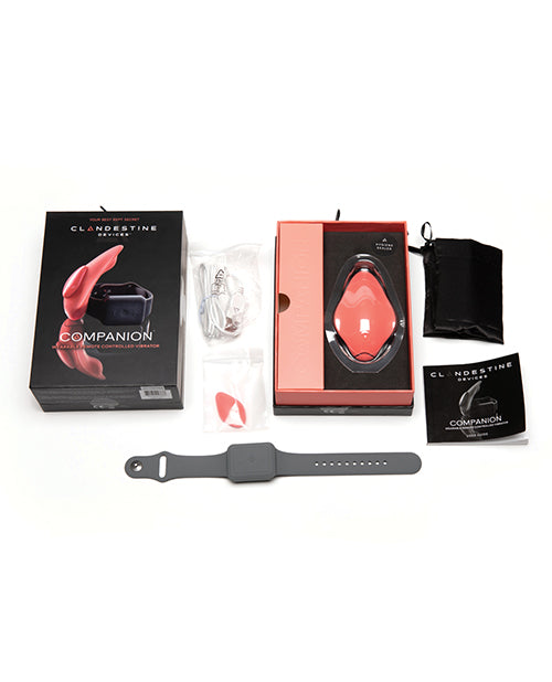 Top-down view of the Clandestine Companion shows everything that this panty vibrator comes with. That includes the packaging, the vibrator itself, a drawstring vibrator storage bag, the Clandestine Companion instructions, the charger, and the remote control watch. | Kinkly Shop