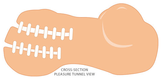 Illustrated, cross-section view of the Cloud 9 Handheld Torso Stroker shows the two separate channels available in the stroker. It shows the channels are two separate tunnels, close-ended, and vary in tightness. | Kinkly Shop