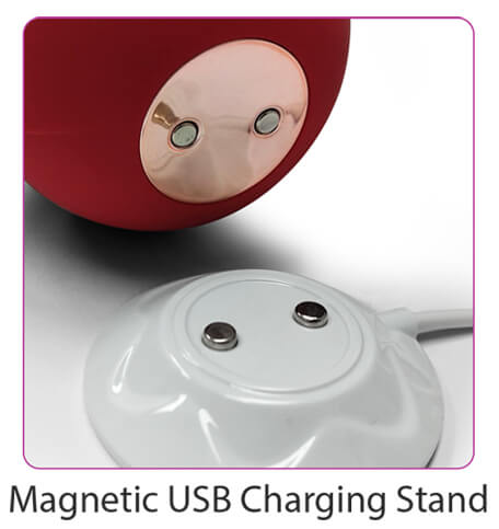 A close-up of the bottom of the Cloud 9 Rose Suction Stimulator of the magnetic charging ports and the matching charging ports on the Cloud 9 Rose Suction Stimulator charging base. The caption under the image reads "Magnetic USB Charging Stand". | Kinkly Shop