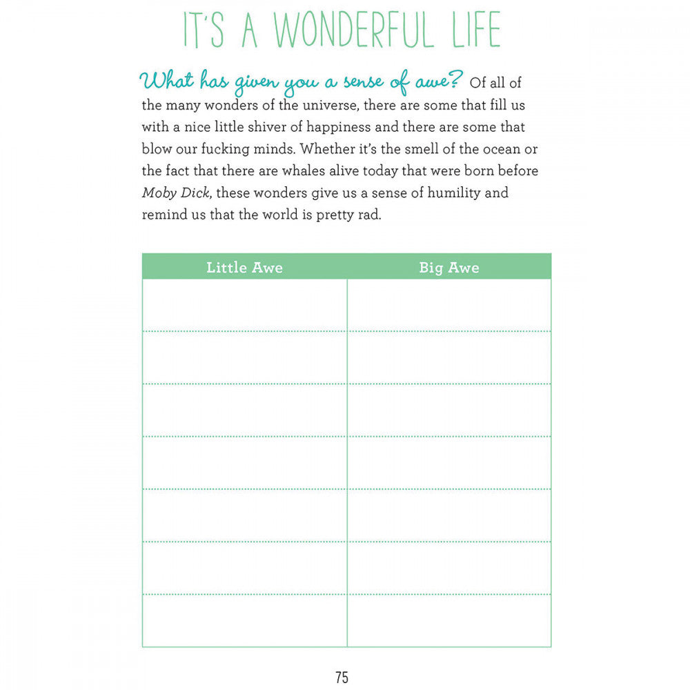 Example of a page inside the journal. The title reads "It's a Wonderful Life". Explanation underneath starts with "What has given you a sense of awe? Of all the many wonders of the universe, there are some that fill us with a nice little shiver of happiness and some that blow our fucking minds." Underneath this explanation are boxes labeled "Little Awe" and "Big Awe" that are blank and designed to be filled in.