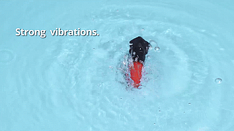 GIF of the Lovense Exomoon bouncing around in a pool of water. It is bouncing and splashing everywhere. The text on the GIF reads "Strong vibrations". | Kinkly Shop