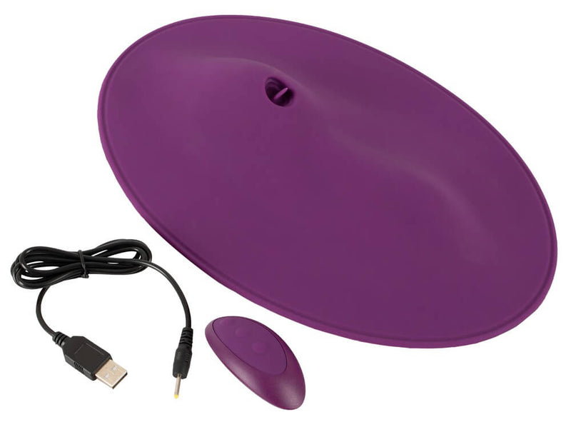 Everything that comes with the Orion VibePad 2. It includes the Orion VibePad 2 vibrator itself, the charging cable, and the remote control. | Kinkly Shop