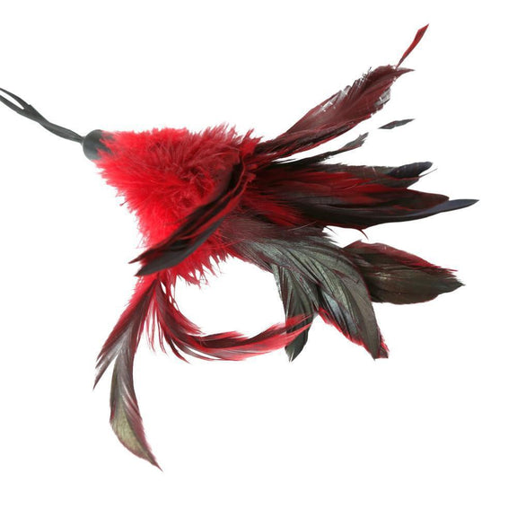 Sportsheets Pleasure Feather - Red - Kinkly Shop